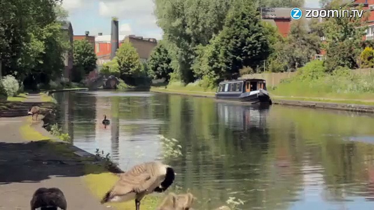 Des voies pour canards, ça vous en bouche un coin