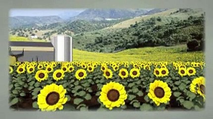 Dix millions de tonnes de nourriture gaspillées tous les ans en France