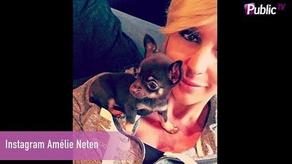 Les stars et les animaux : une grande histoire d’amour !