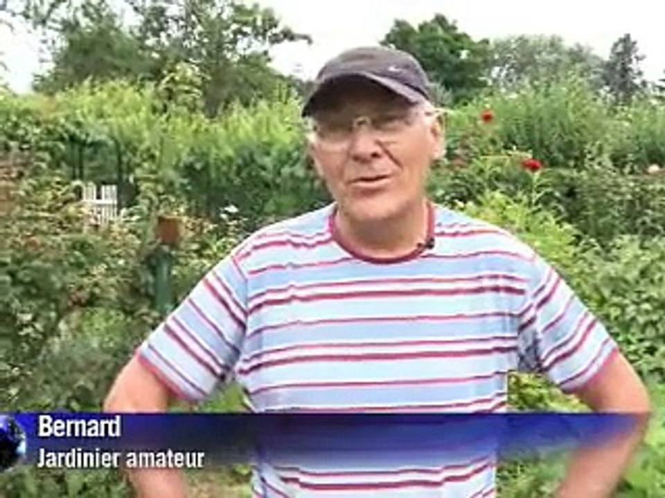 Des petits jardins coincés dans le béton pour le plaisir et contre la crise