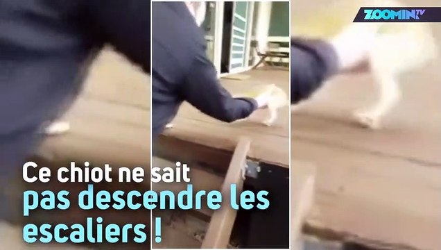 Quelle façon étrange de descendre les escaliers !