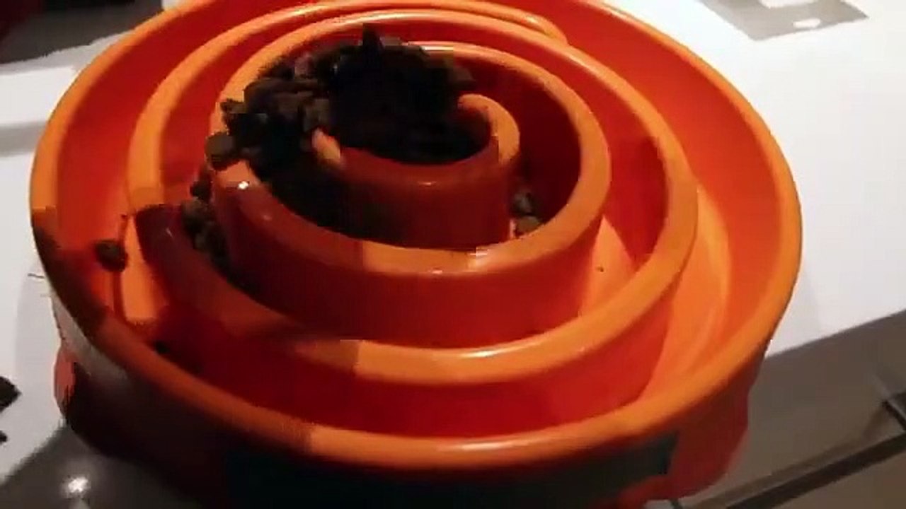 Il filme ses chiots courir vers leur gamelle pendant 9 mois