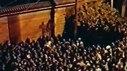 La Vierge, les Coptes et Moi