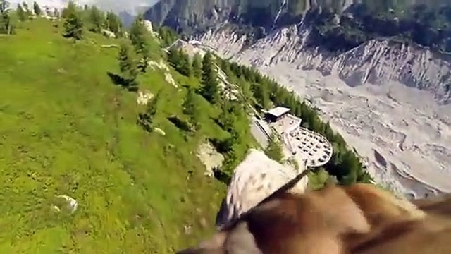 Survoler les Alpes à dos d'aigle !