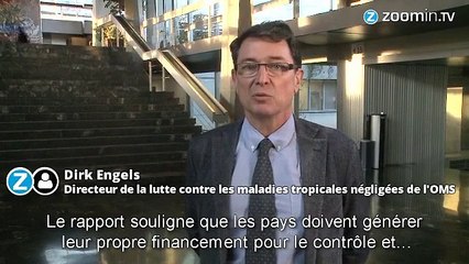 Maladies tropicales négligées, l'OMS appelle au combat