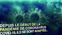 Coronavirus : comment laver son linge efficacement ?
