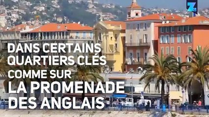 Nice contre-attaque les goélands avec des drones !