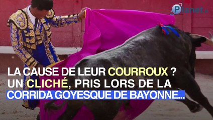 Deux ministres à la Corrida : cet autre scandale politique qui pourrait fragiliser Macron