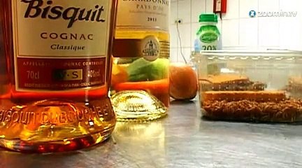 Un restaurant où l'on cuisine des insectes!