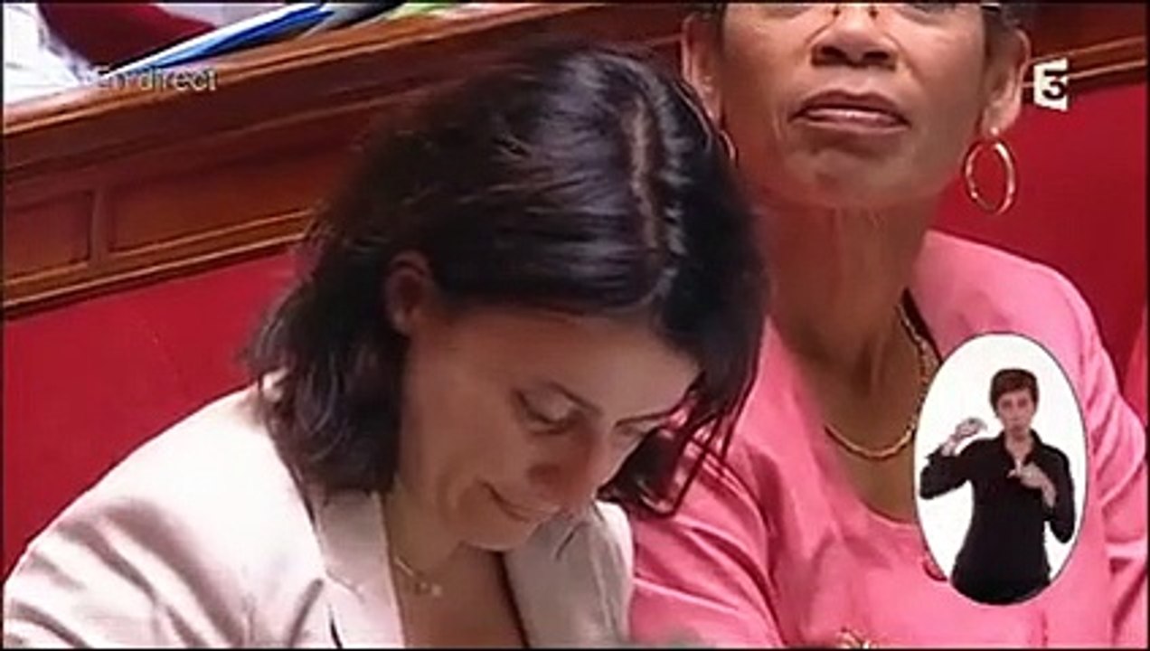 Les larmes de Cécile Duflot à l'Assemblée nationale