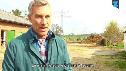 Profession insolite : dentiste chevalin