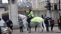 Un homme nu s'évade par une fenêtre du palais de Buckingham