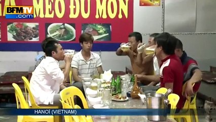 La viande de chat, nouvelle mode de consommation au Vietnam