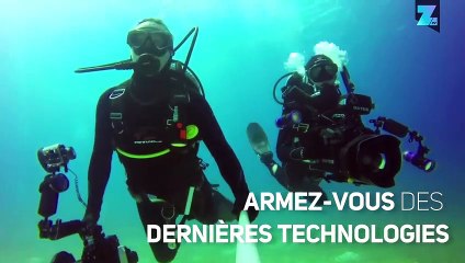 Comment photographier un requin ?