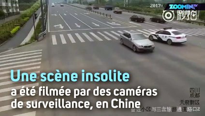 Ce policier arrête le trafic pour une raison inattendue