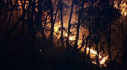 L'Australie toujours en proie aux flammes