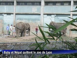 Les éléphantes Baby et Népal sont arrivées à Monaco