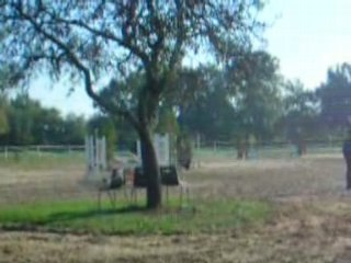 PREMiiER CONCOUR AVEC MA CHERiiE (L)