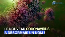Quel est le nouveau nom du coronavirus ?
