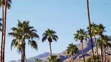 Madonna : son flirt avec Drake moqué sur la Toile