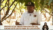 Agropecuaria Maisanta produce cacao de alta calidad en el Alto Apure