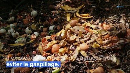 Cuisine : l’astuce pour conserver vos citrons plus de 3 mois !