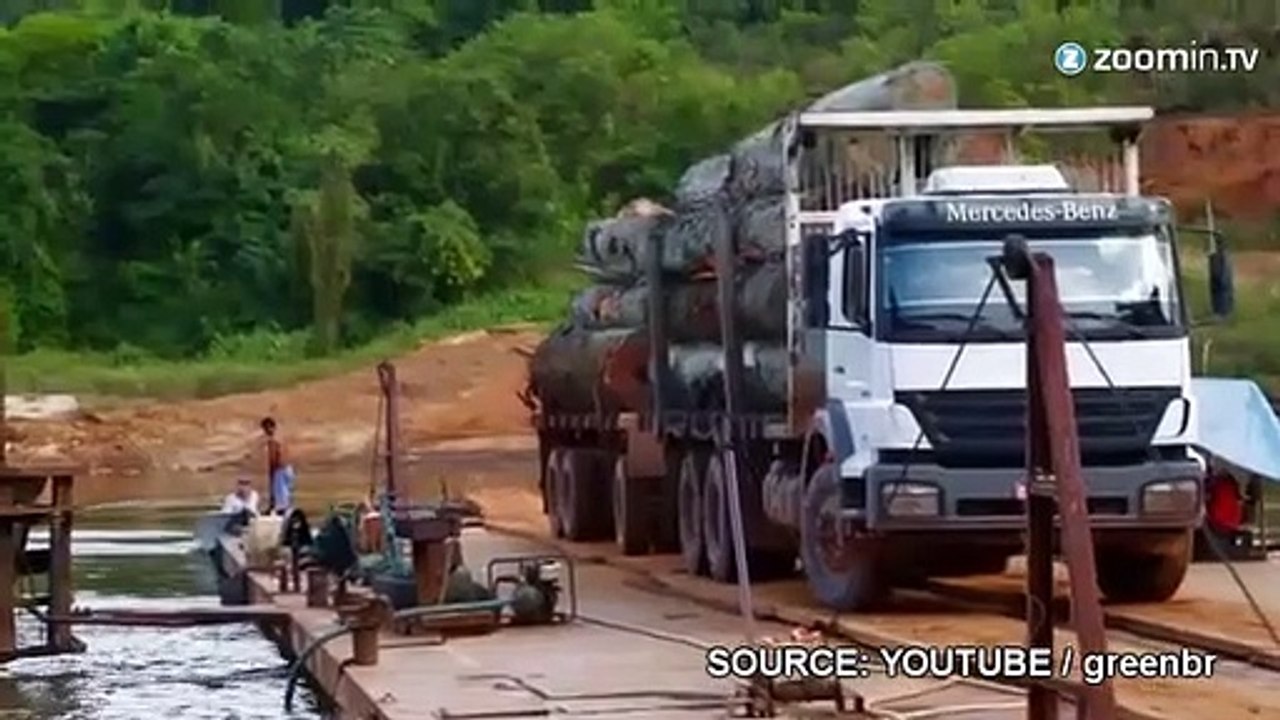 Greenpeace: des images choquantes de la déforestation