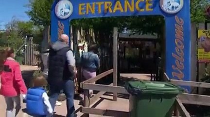Une femme de 24 ans tuée par un tigre