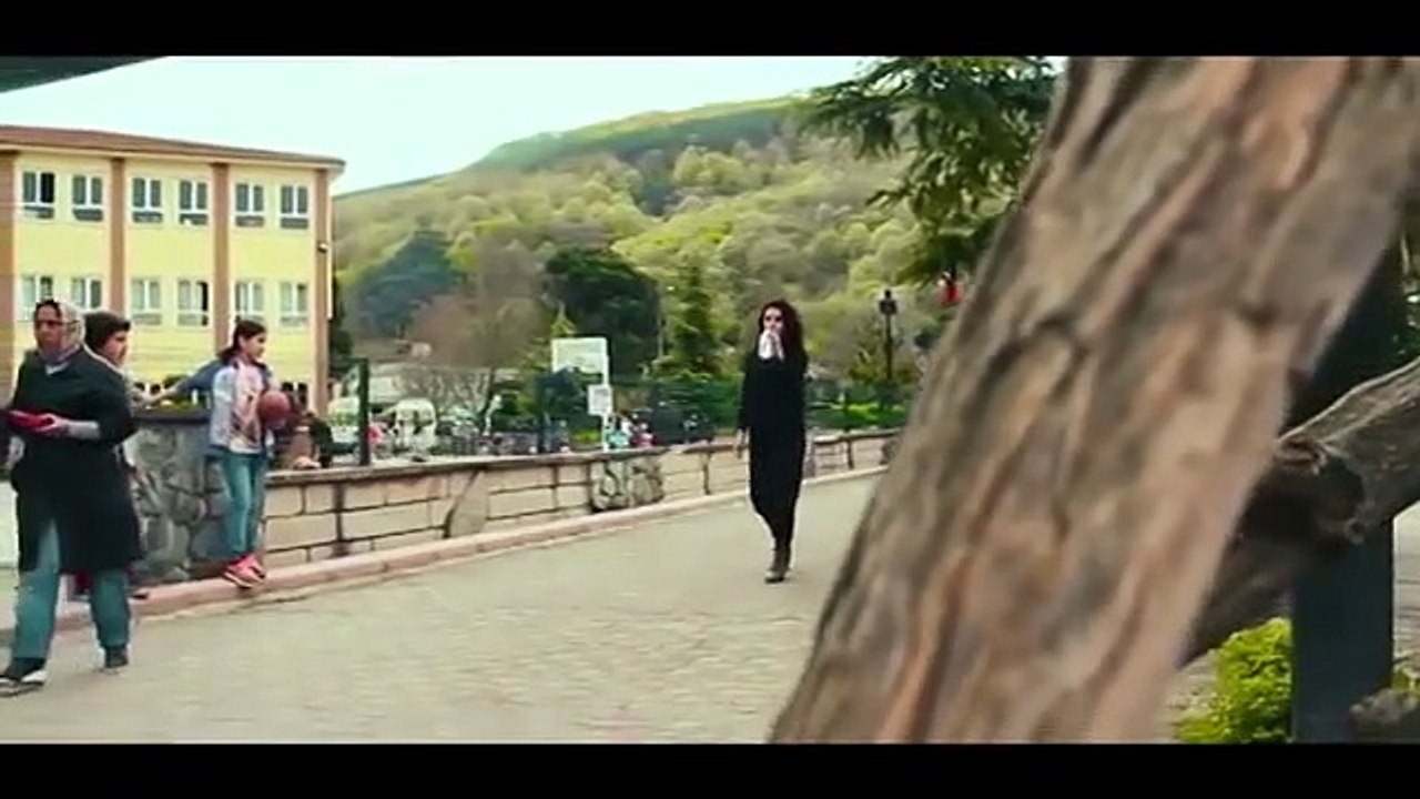 Donnez à manger aux chiens et chats errants en recyclant vos bouteille en plastique