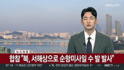 [속보] 합참 "북, 서해상으로 순항미사일 수 발 발사"