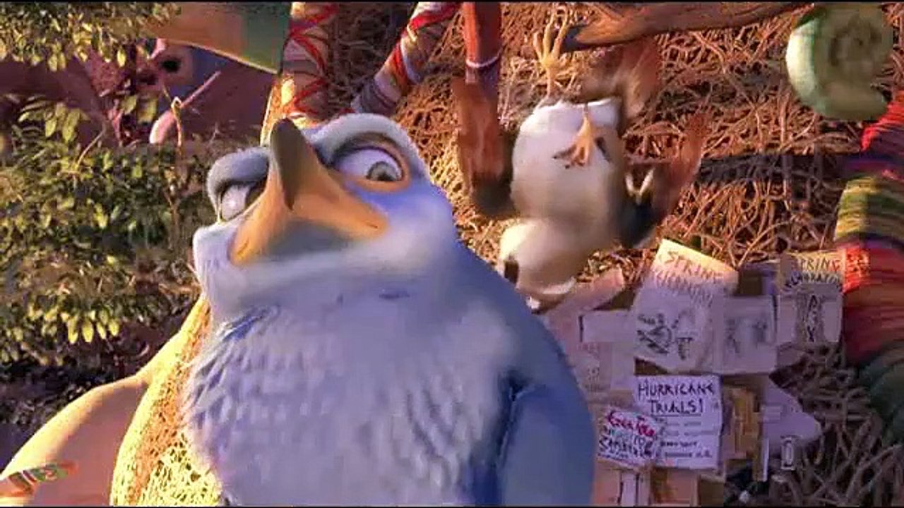 Droles d'oiseaux