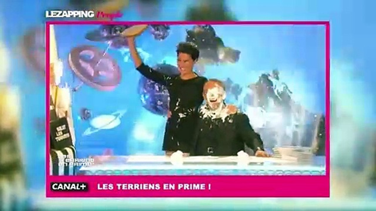 Ils se sont réconciliés : Thierry Ardisson entarté par Alessandra Sublet !