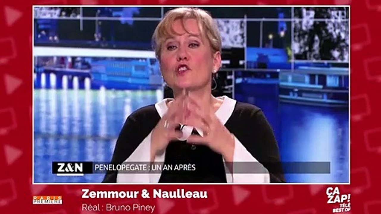 Eric Zemmour, Nadine Morano, Emmanuel Macron... les pires clashs de la télé !