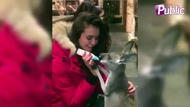Vidéo : Nina Dobrev : L’actrice est amoureuse mais ce n’est pas du tout ce que vous croyez !