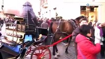 Rome: les calèches, un enfer pour les chevaux!