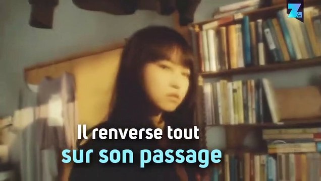 Au Japon, les chats ont des ailes !