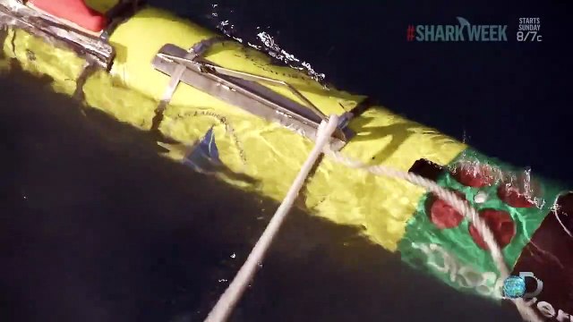 L'attaque d’un grand requin blanc filmée par une caméra sous-marine