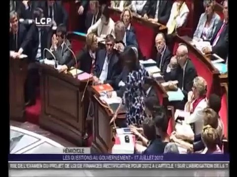 Cécile Duflot huée à l'assemblée Nationale à cause de sa robe