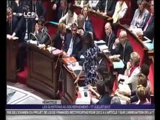 Cécile Duflot huée à l'assemblée Nationale à cause de sa robe