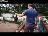Ces touristes paayent pour donner des animaux vivants à manger aux crocodiles