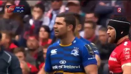 Rugby : un chat perturbe le match Toulon-Leinster