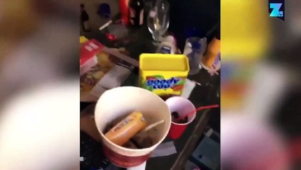 Airbnb : retour de vacances difficile