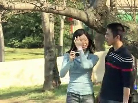 A Washington, les cerisiers du Japon connaissent leur centième floraison