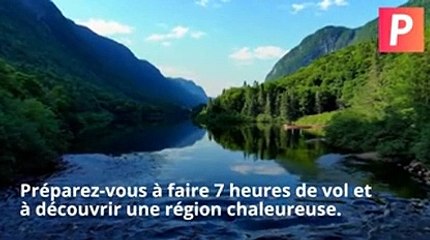 Le Québec, destination parfaite pour l'automne