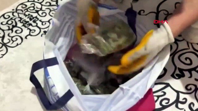 Opération antidrogue à Izmir : 35 kilos de marijuana saisis