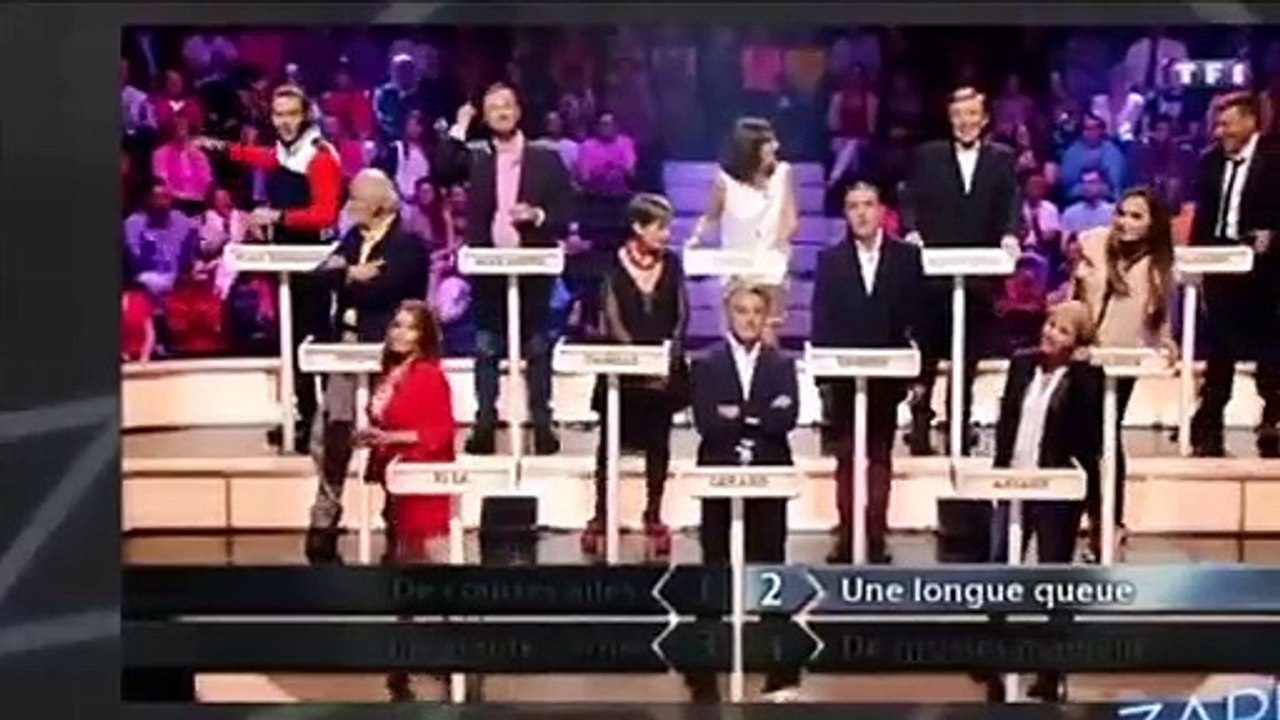 Moment coquin sur TF1 dans le Grand concours des animateurs !