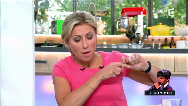 Des manifestants anti loi Travail perturbent le tournage de C à vous avec Myriam El Khomri