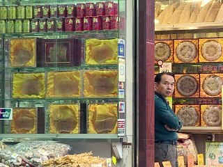 Le Mexique en lutte pour sauver deux espèces victimes du marché noir en Chine