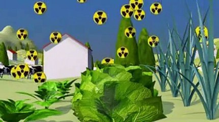 Après Fukushima, 10.000 cancers de plus attendus au Japon, selon des ONG