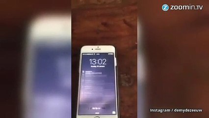 À quoi ressemble le smartphone d'une star d'Instagram ?